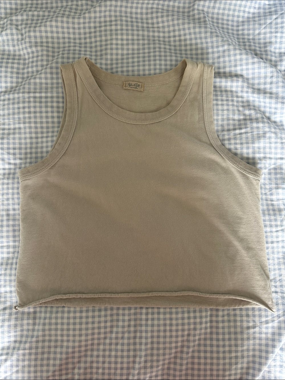 Brandy Melville Light Grey Cropped Tank | XS/S